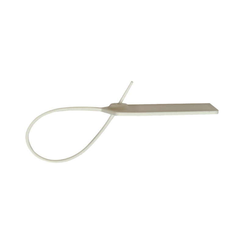 RFID Seal